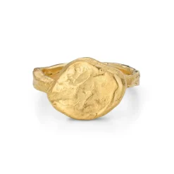 Menhir Signet Ring 18ct gold